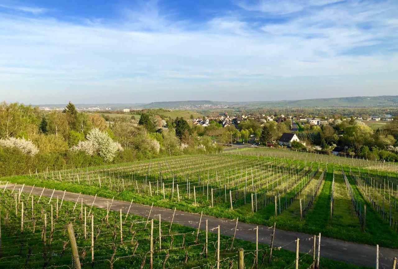 Das Apartment Am Weinberg Geisenheim Esterno foto